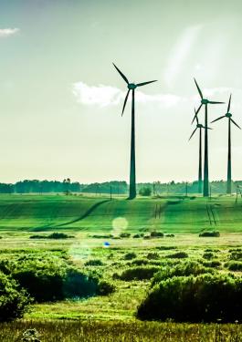 Field with wind turbine
