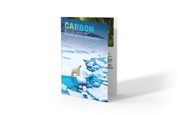 Download our whitepaper regarding Carbon, Bureau Veritas